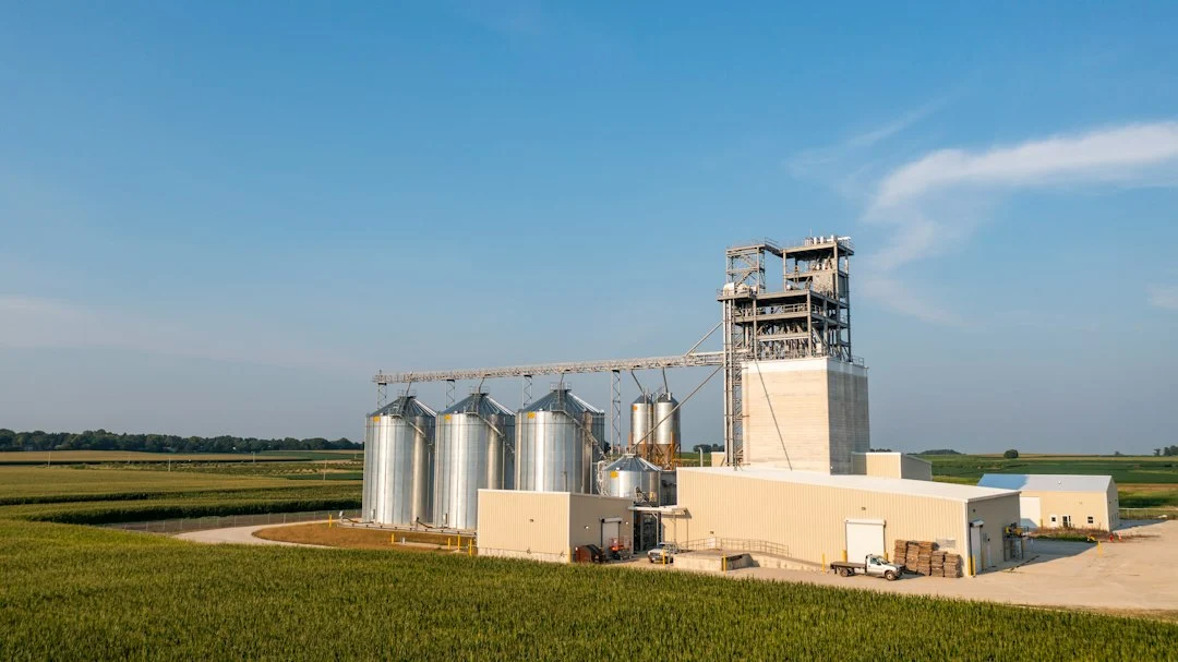 Industrial grain processing equipment used for paddy drying and handling