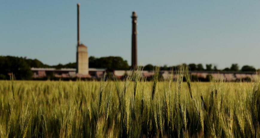 Grain field with an industrial plant in the background, showing the farm-to-industry link
