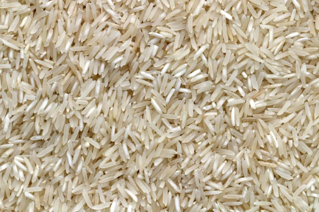 Close-up of rice grains used as feedstock