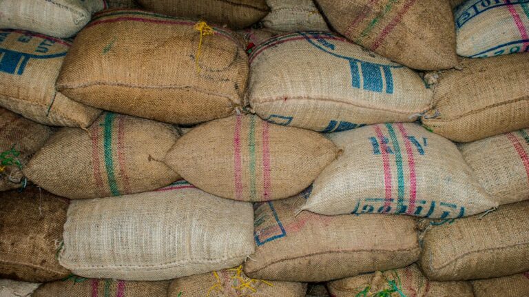 Paddy Storage in the Monsoon: Warehousing Best Practices to Keep Paddy and Rice Safe